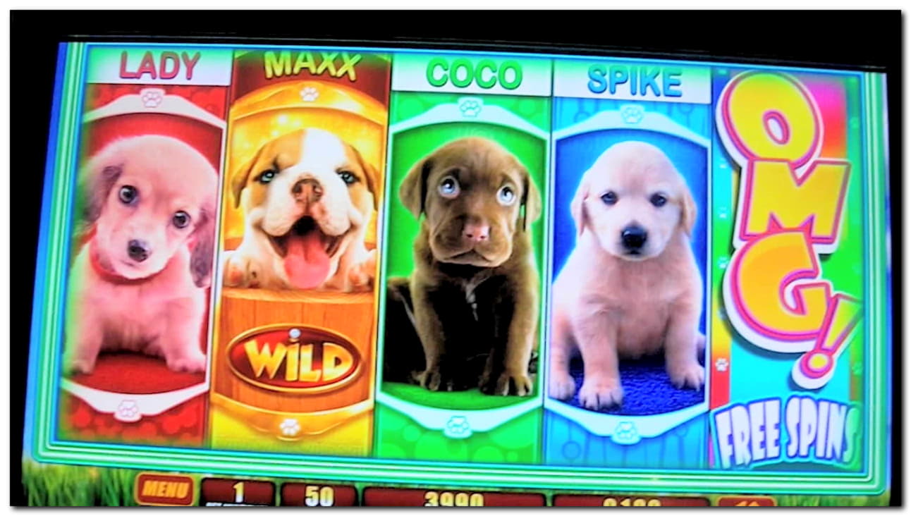 25 Loyal Free Spins! at Karamba Casino