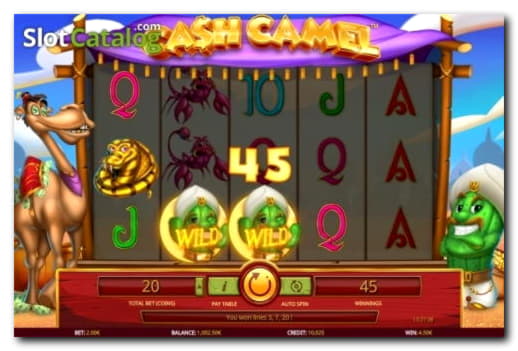 35% Casino Welcome Bonus at Winner Casino