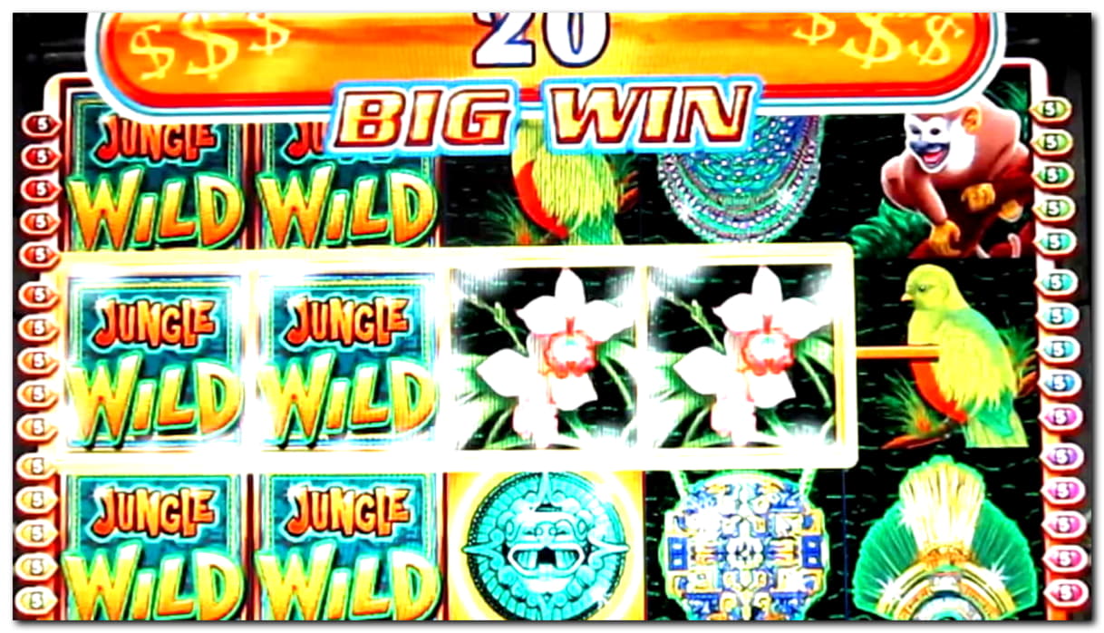$780 Daily freeroll slot tournament at Wix Stars Casino
