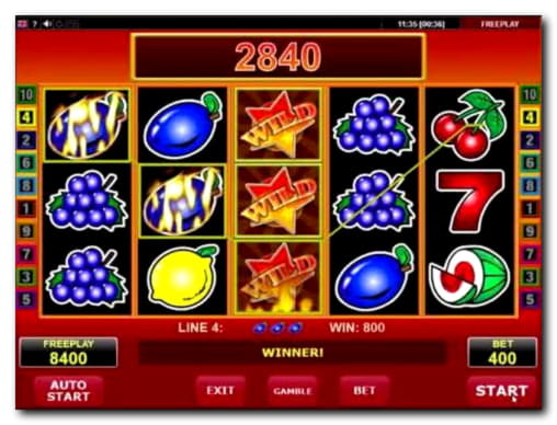 135% Best signup bonus casino at Net Bet Casino