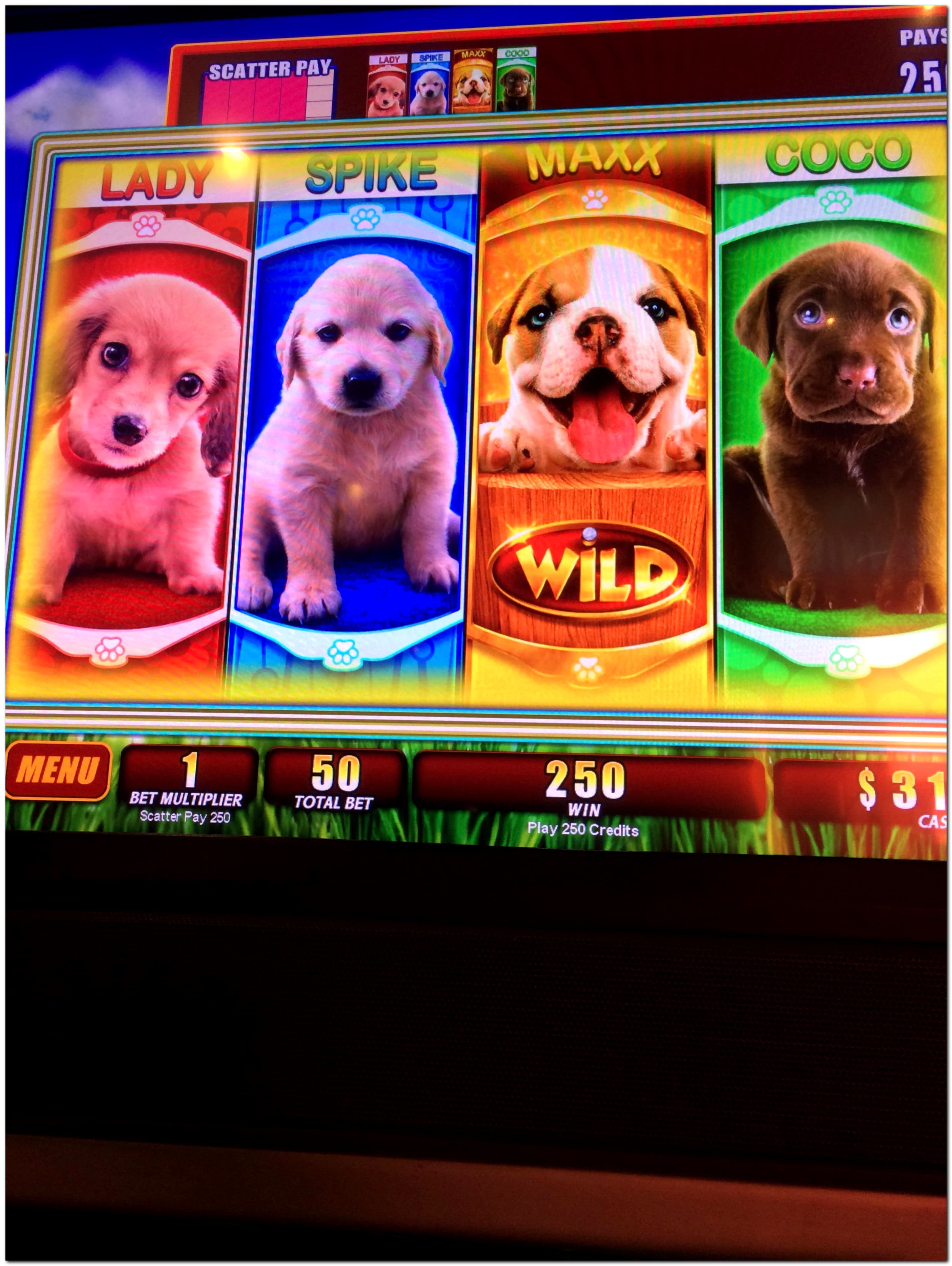$4175 No Deposit at Net Bet Casino