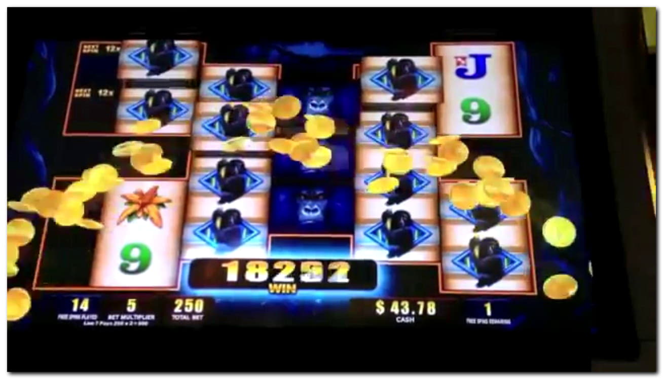 EURO 85 FREE Casino Chip at Net Bet Casino