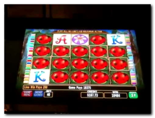 895% Match Bonus Casino at Jackpot City Casino