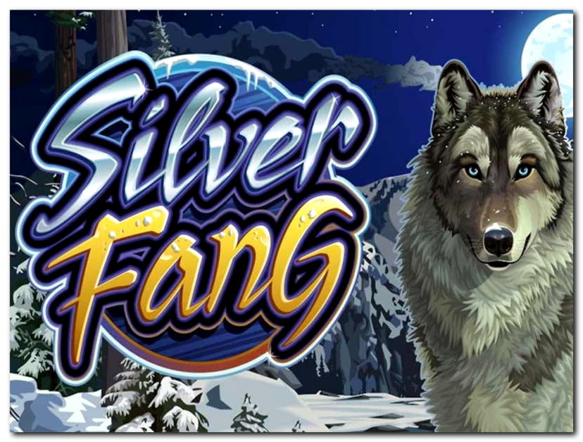 ﻿$475 Mobile freeroll slot tournament at Mansion Casino
