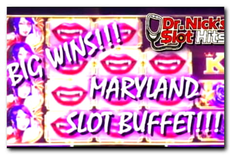 Eur 100 Daily freeroll slot tournament at Casino-X