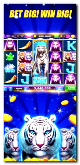 175 FREE Spins at Black Lotus Casino