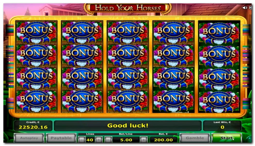 Eur 505 Daily freeroll slot tournament at Net Bet Casino