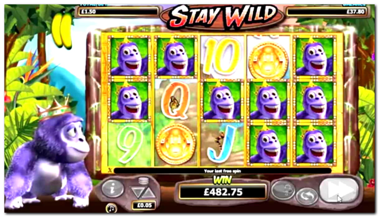 730% Signup casino bonus at Casino Luck