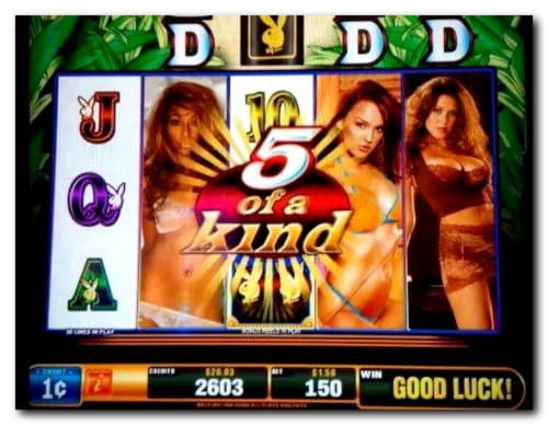 70 Loyalty Free Spins! at Red Ping Win Casino