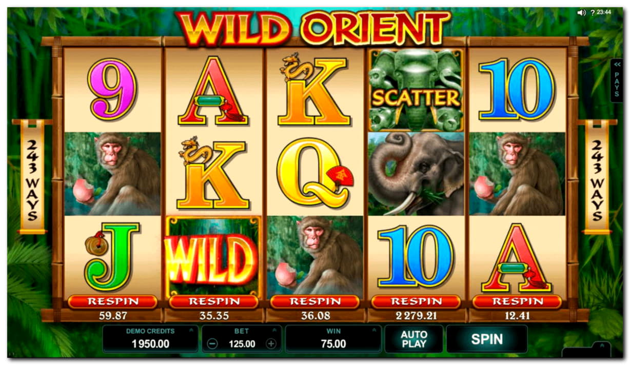 285% Match Bonus at Opti Bet Casino