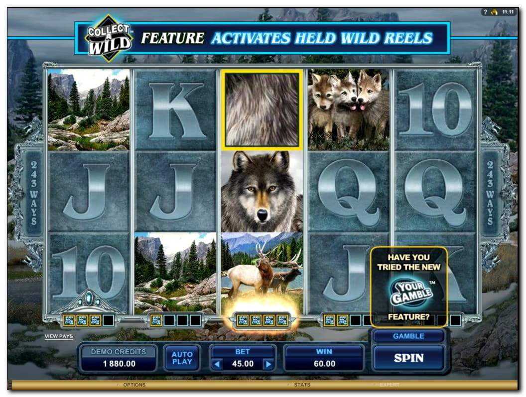 70% casino match bonus at Winner Casino