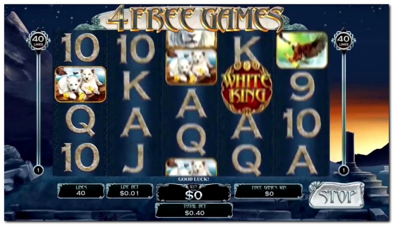 €875 Tournament at Wild Slots Casino