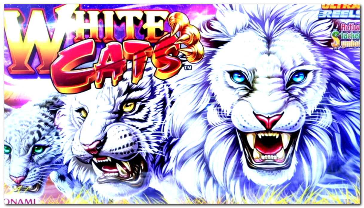 €320 free casino chip at Casino Luck
