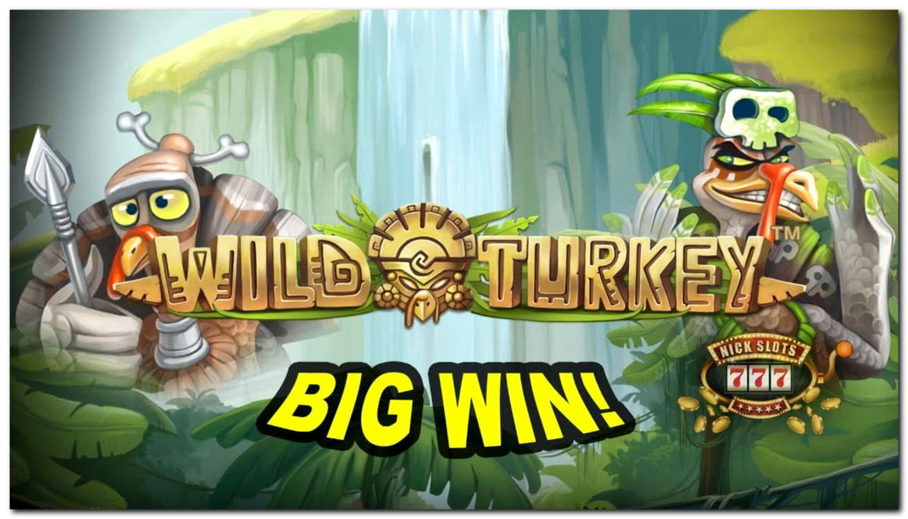 ﻿$335 Free Casino Chip at Net Bet Casino