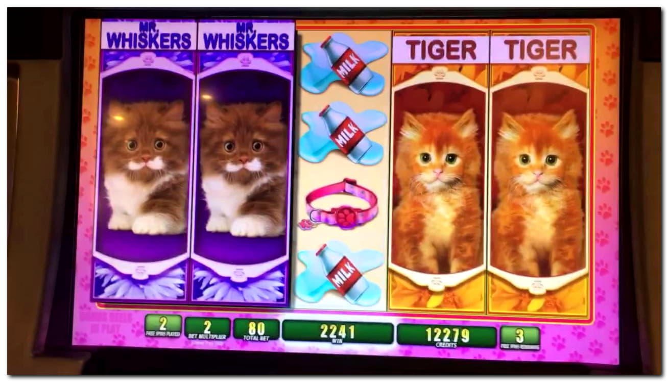 200 free spins no deposit at Wix Stars Casino