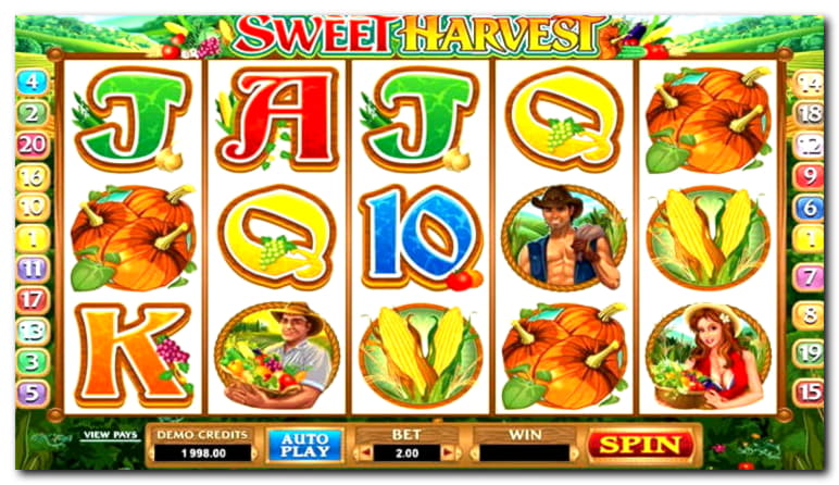 33 Free Spins Casino at Red Bet Casino