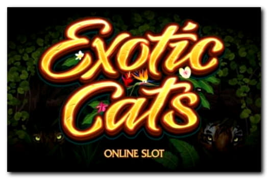 Eur 610 Free Casino Tournament at Black Lotus Casino