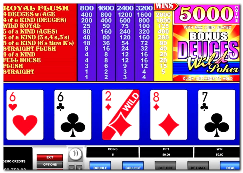 €340 Daily freeroll slot tournament at Black Lotus Casino
