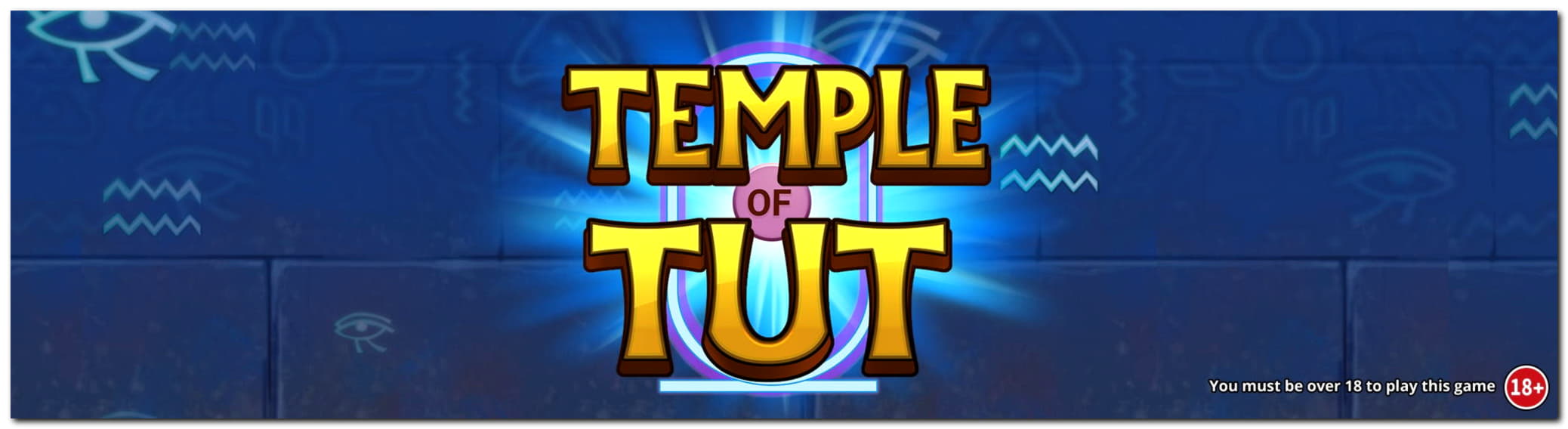 €285 FREE CHIP at Wild Slots Casino