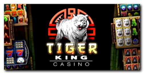 $2825 No Deposit Casino Bonus at Red Bet Casino