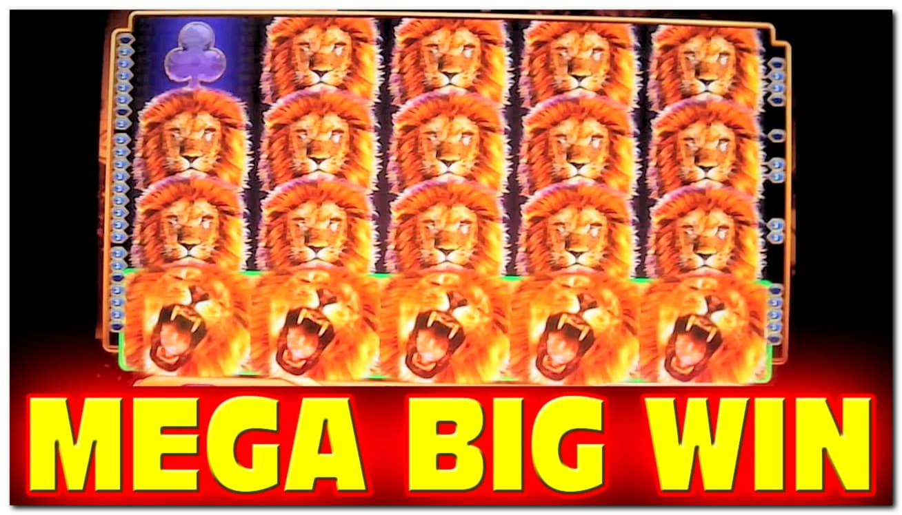 300 Free Spins at Slotty Dubai Casino