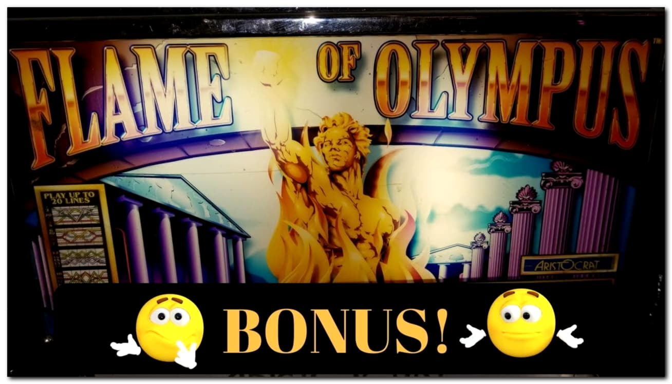 555% First Deposit Bonus at Slotty Dubai Casino