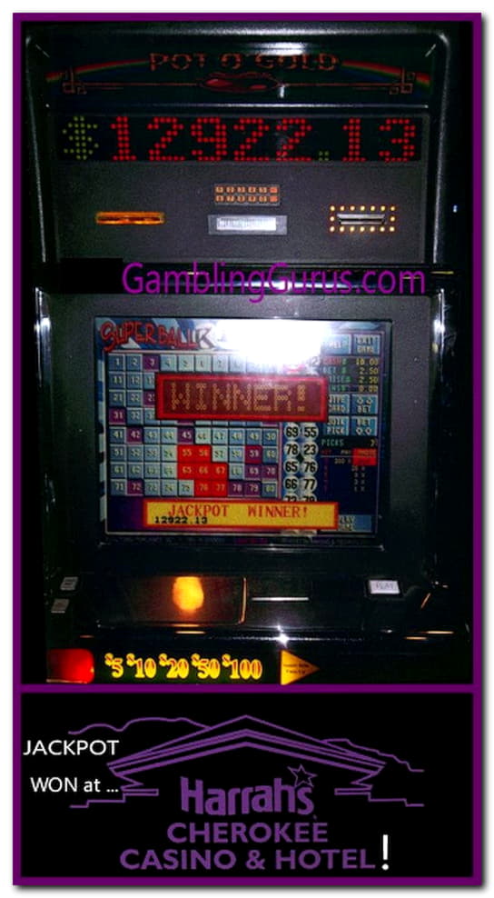 $250 Free chip at Net Bet Casino