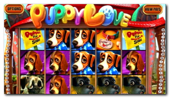 270 Free spins no deposit casino at Wix Stars Casino
