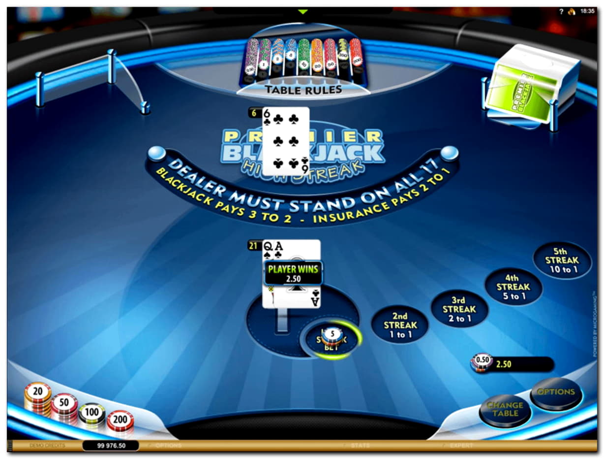 Eur 290 no deposit bonus casino at Slotty Dubai Casino