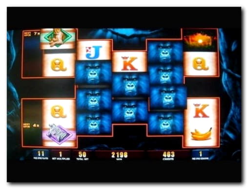 £615 Free Casino Ticket at Black Lotus Casino