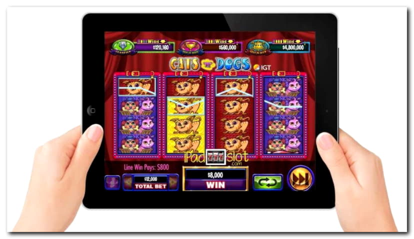 £590 free casino chip at Casino-X