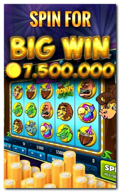 €355 Free Cash at CasiPlay Casino