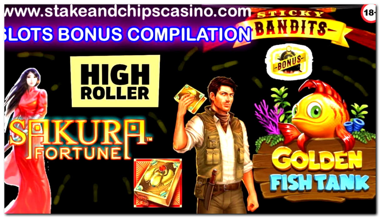 530% casino match bonus at Slotty Dubai Casino