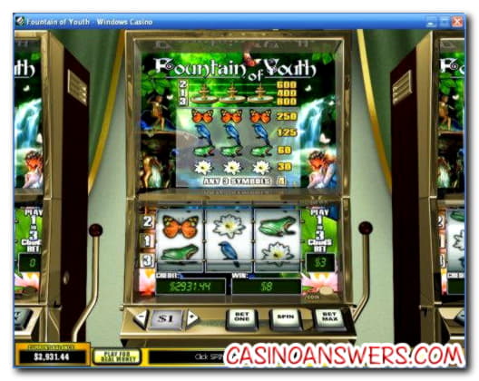 $475 no deposit bonus at Slotty Dubai Casino