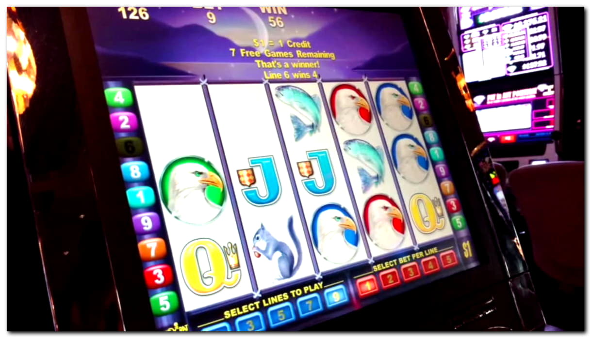 625% No Rules Bonus! at Red Bet Casino