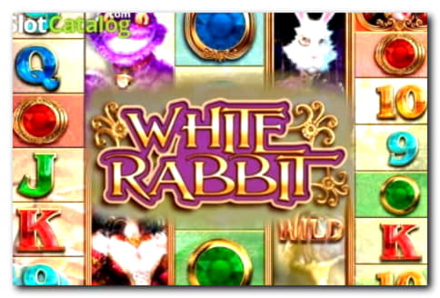 940% Welcome Bonus at Slotty Dubai Casino