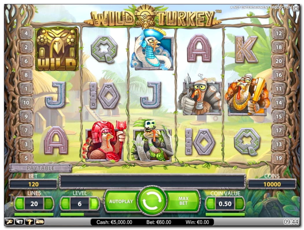 35 free spins no deposit casino at Opti Bet Casino