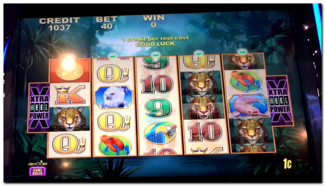 55 Free spins no deposit casino at Winner Casino