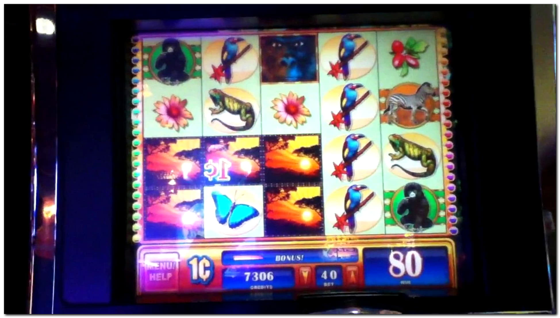 €4600 No deposit bonus casino at Next Casino