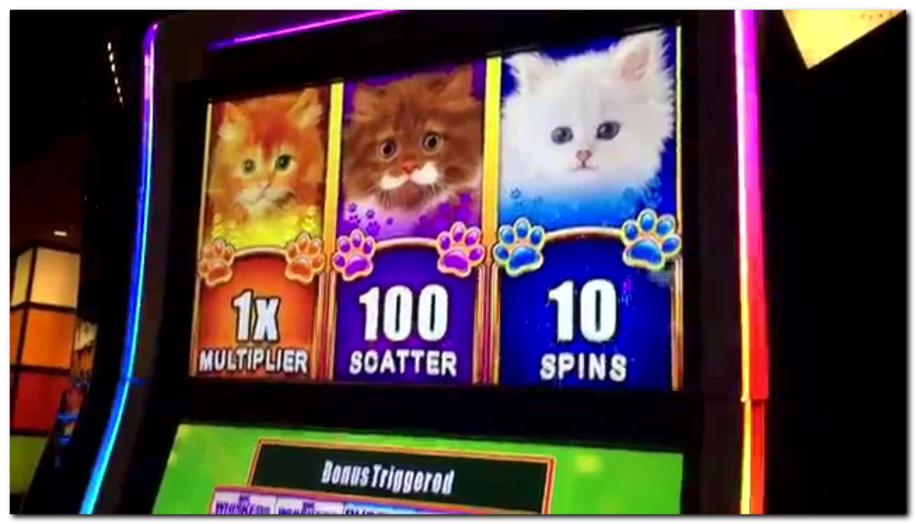 Eur 230 FREE CHIP CASINO at Wild Slots Casino