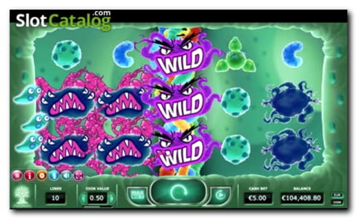 435% Casino match bonus at Next Casino