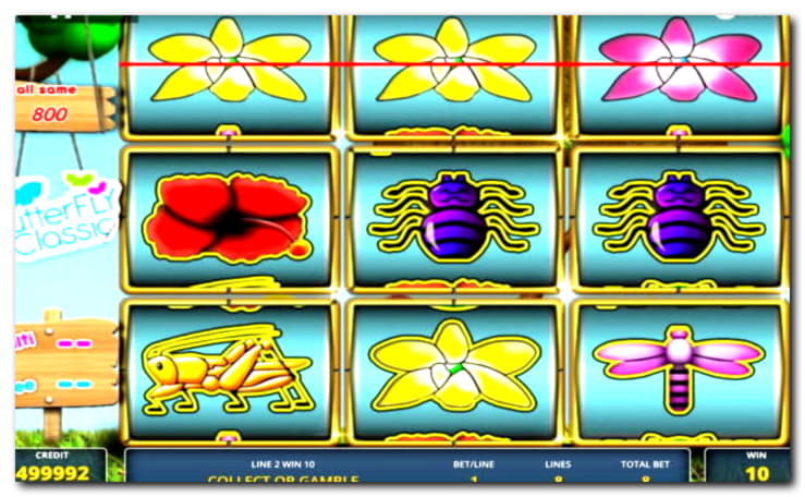 EURO 4365 No Deposit Casino Bonus at Big Dollar Casino