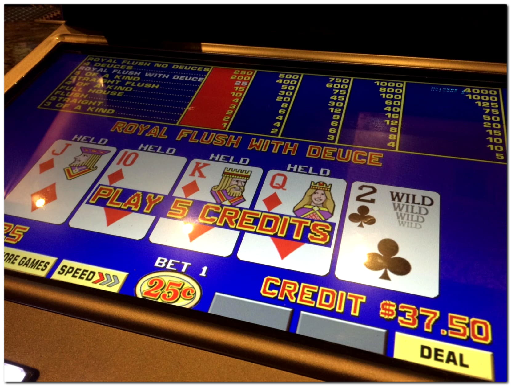 25 Trial Spins at Black Lotus Casino