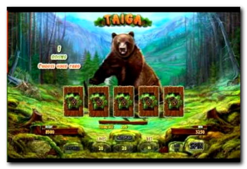 445% casino match bonus at Winner Casino