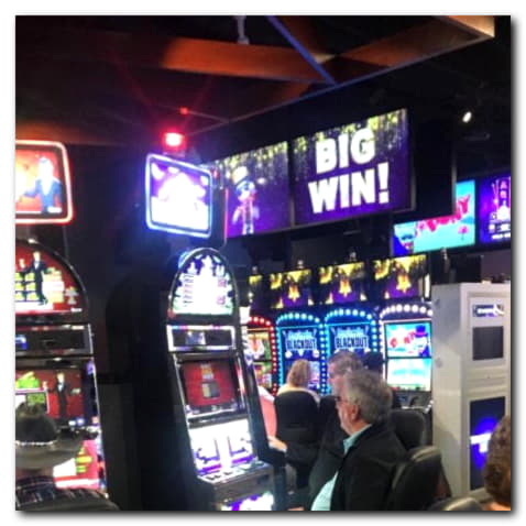 11 Loyal Free Spins! at Opti Bet Casino