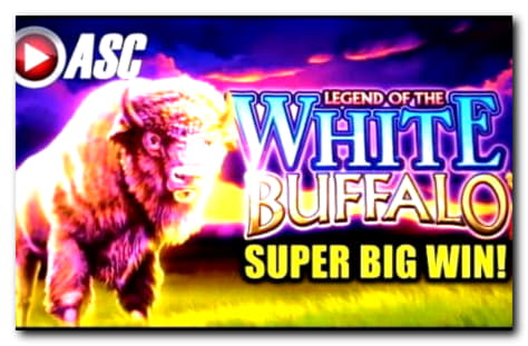 Eur 220 Online Casino Tournament at Winner Casino