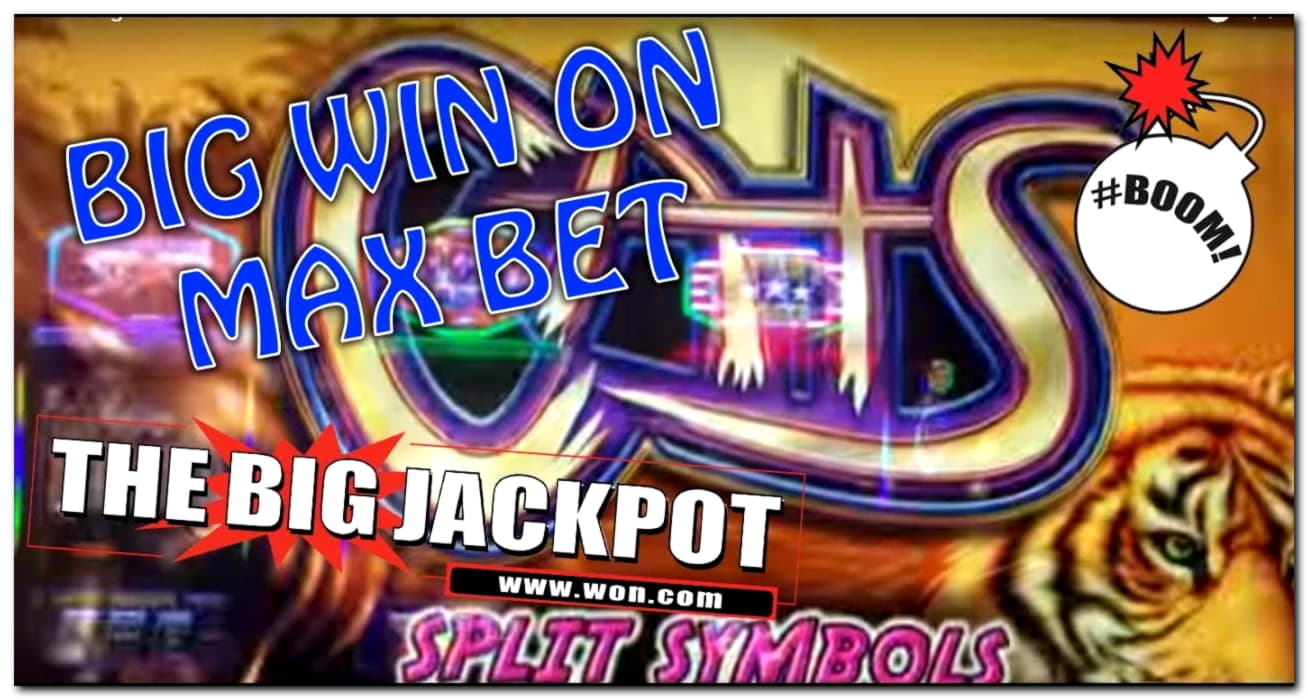 635% Match Bonus at Big Dollar Casino